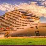 cruise website